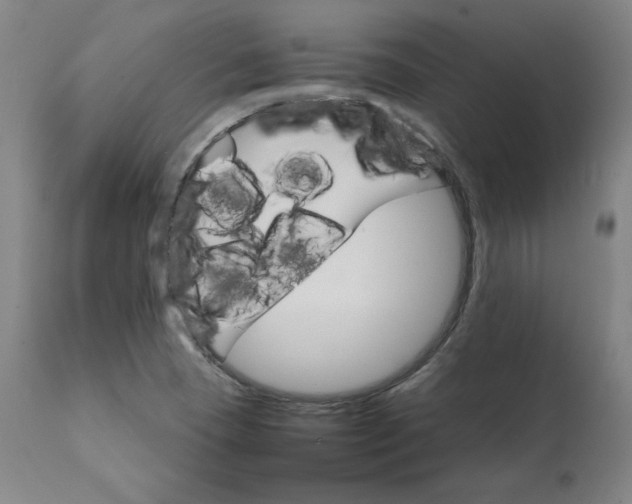 X0000111231409200907161305
