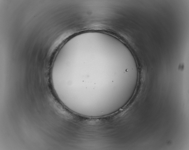 X0000111231410200907161305