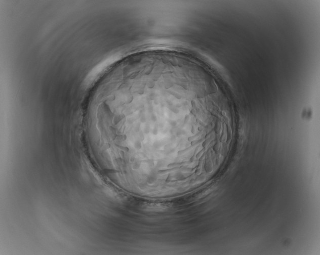 X0000111231411200907161305