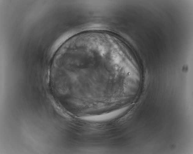 X0000111231413200907161305