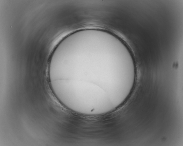 X0000111231415200907161305