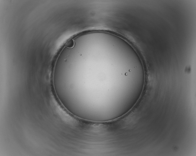 X0000111231416200907161305
