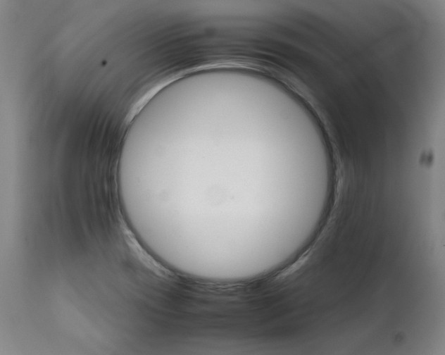 X0000111231417200907161305
