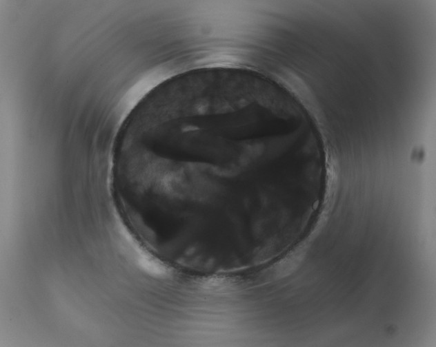 X0000111231418200907161305