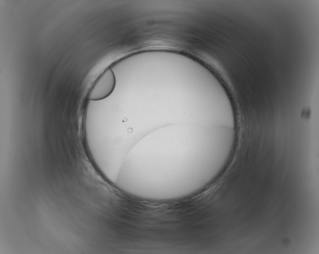 X0000111231419200907161305