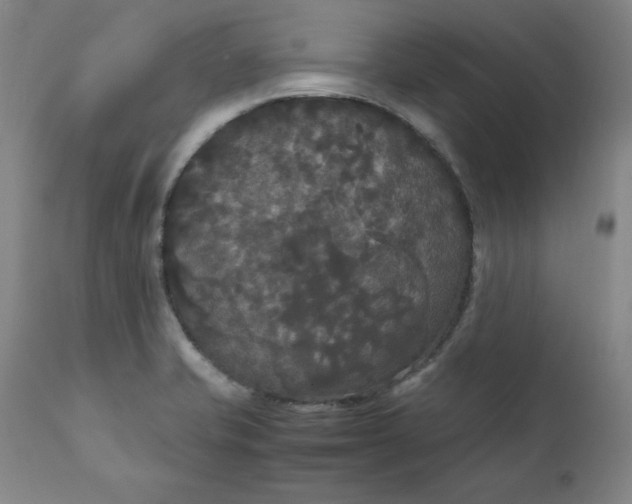 X0000111231421200907161306