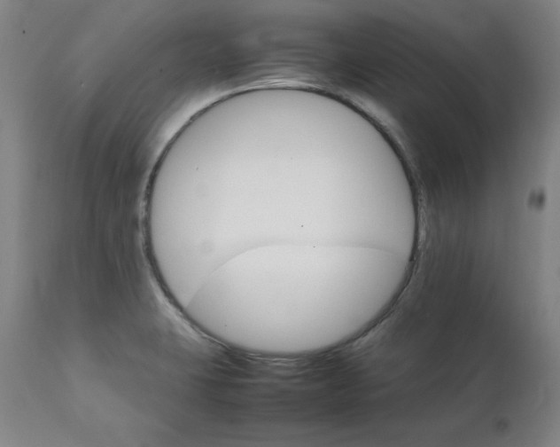 X0000111231423200907161306