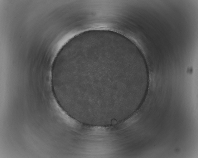X0000111231424200907161306