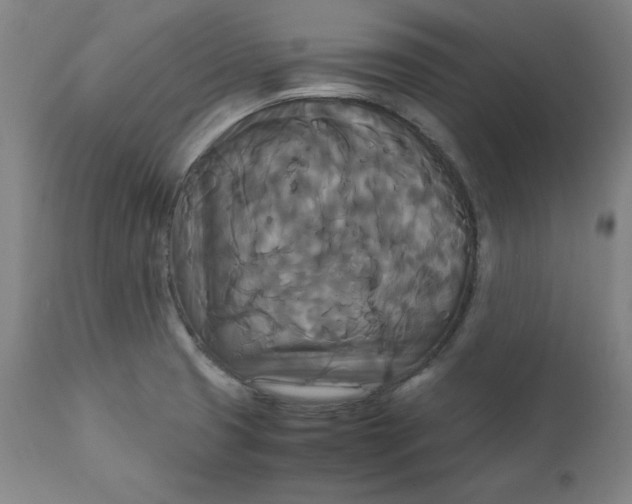 X0000111231425200907161306