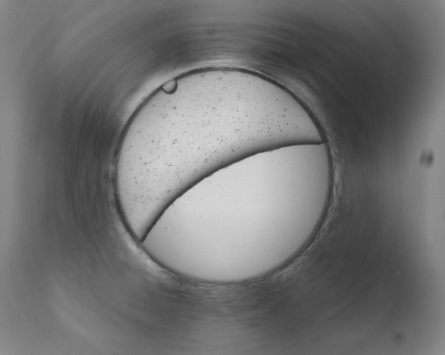 X0000111231428200907161306