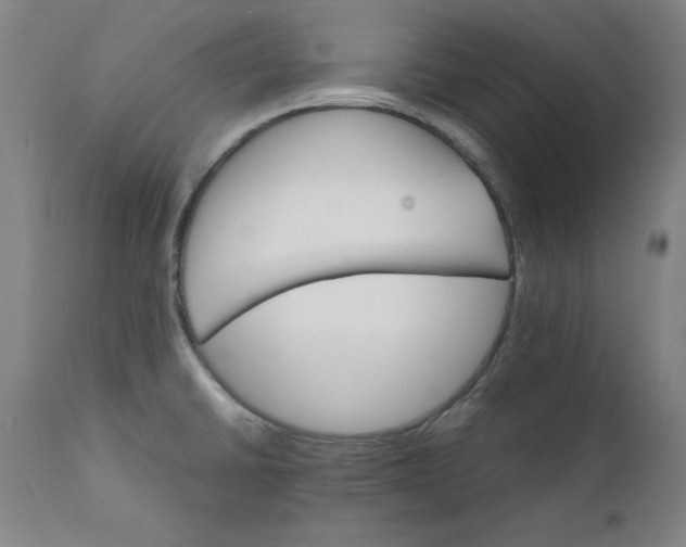 X0000111231430200907161306