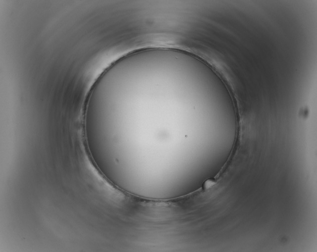 X0000111231432200907161306