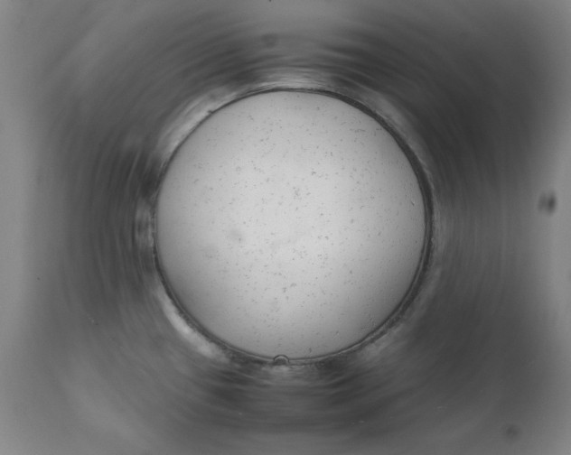 X0000111231433200907161306