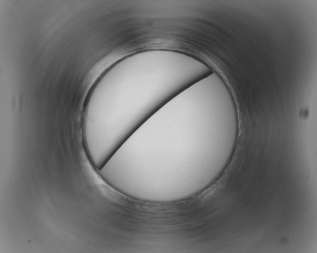 X0000111231434200907161306
