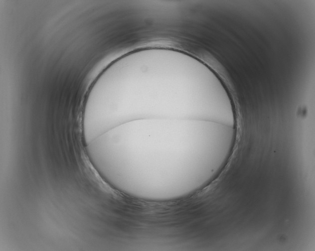 X0000111231436200907161306