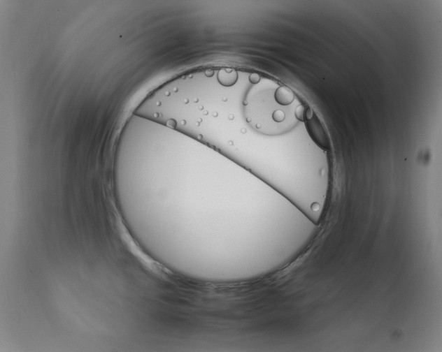 X0000111231437200907161306