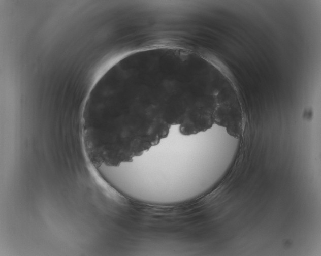 X0000111231439200907161306