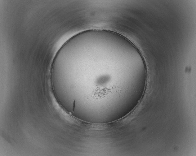 X0000111231440200907161306