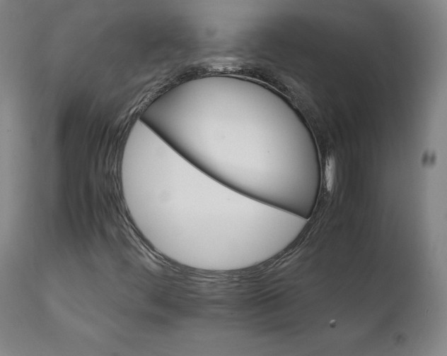 X0000111231444200907161305