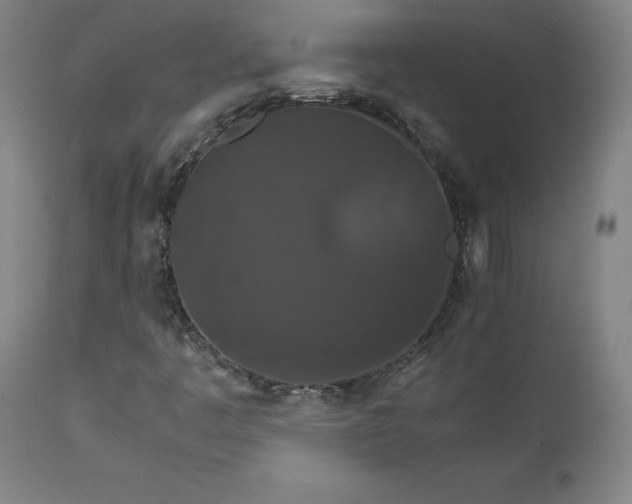 X0000111231445200907161305