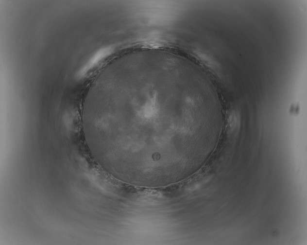 X0000111231446200907161305
