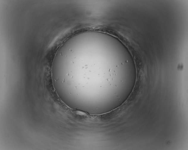 X0000111231447200907161305