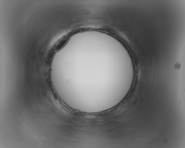 X0000111231448200907161305