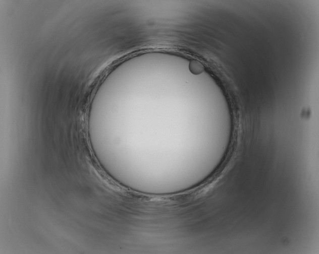 X0000111231449200907161305