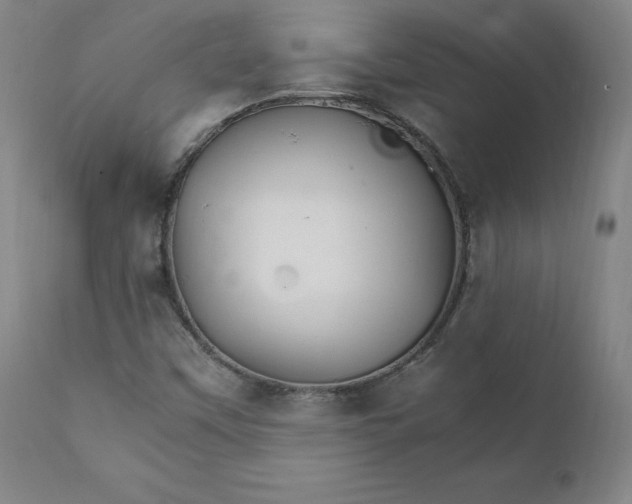 X0000111231451200907161305