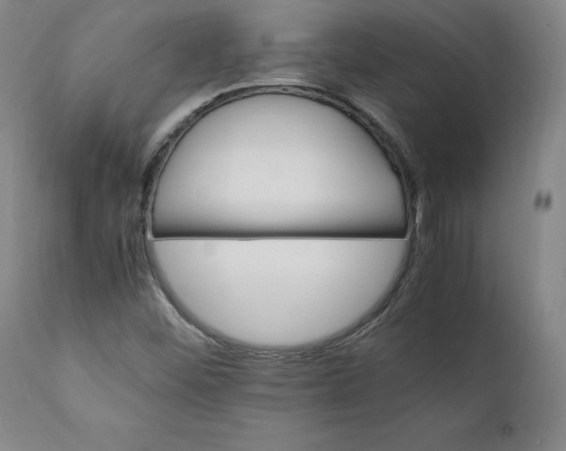 X0000111231452200907161305