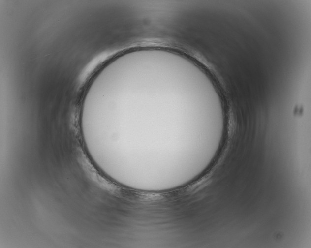 X0000111231454200907161305