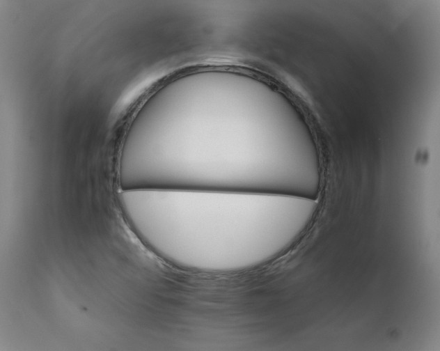 X0000111231456200907161305