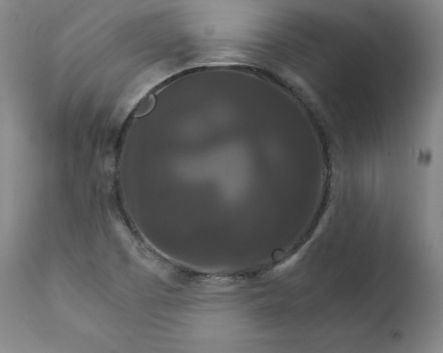 X0000111231457200907161305