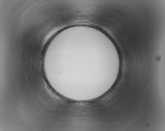 X0000111231458200907161305