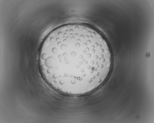 X0000111231459200907161305