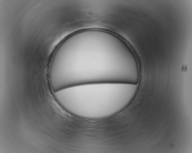 X0000111231460200907161305