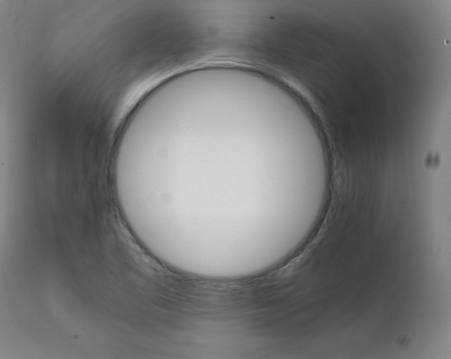 X0000111231461200907161305