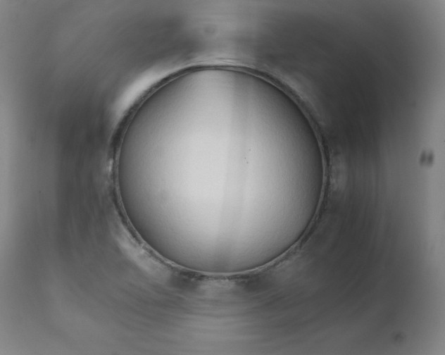 X0000111231462200907161305