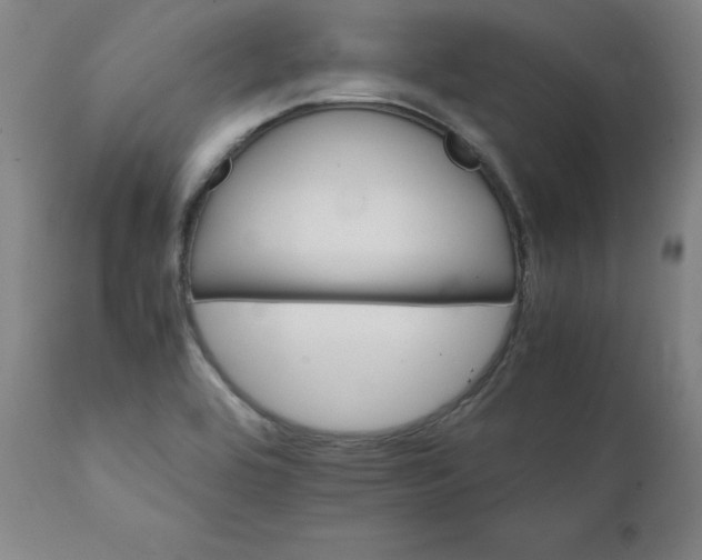 X0000111231464200907161305