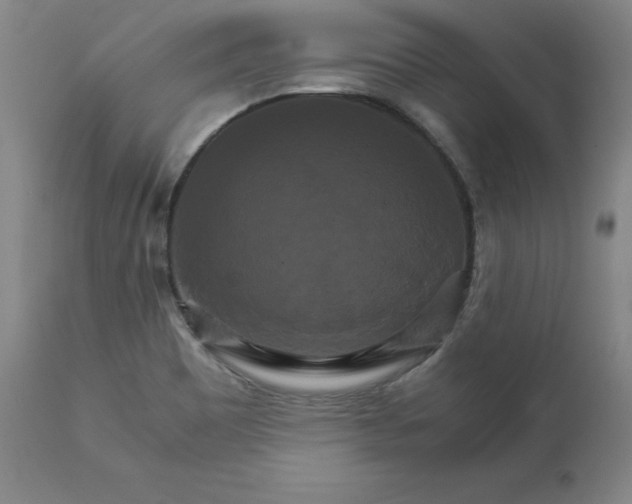 X0000111231465200907161305