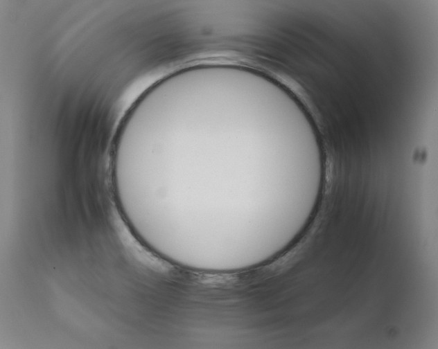 X0000111231466200907161305