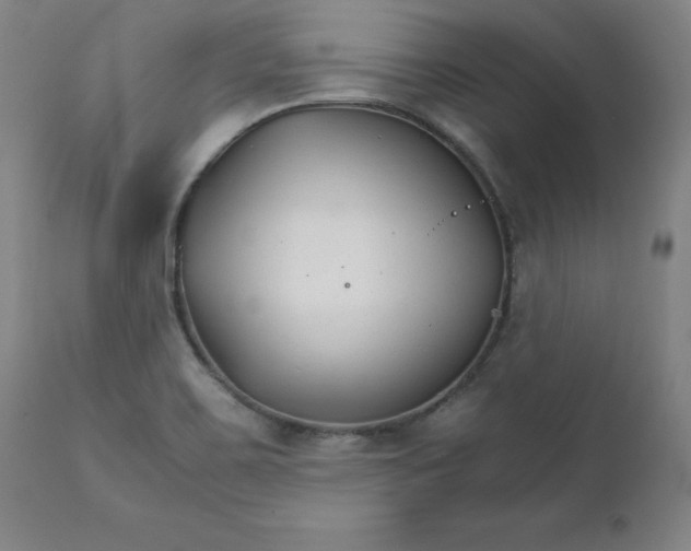 X0000111231467200907161304