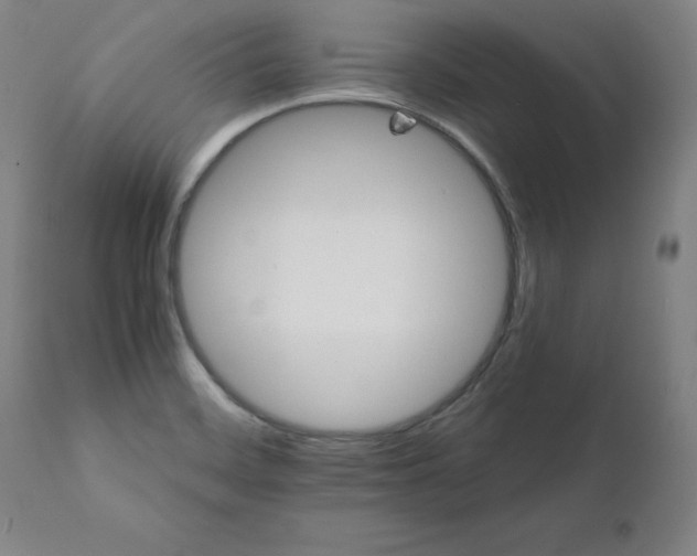 X0000111231468200907161304