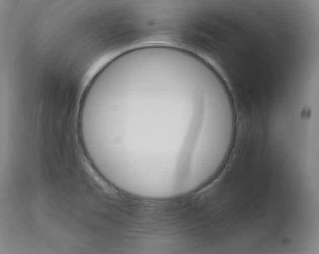 X0000111231469200907161304