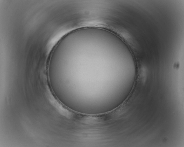 X0000111231470200907161304