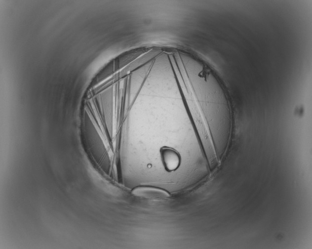 X0000111231471200907161304