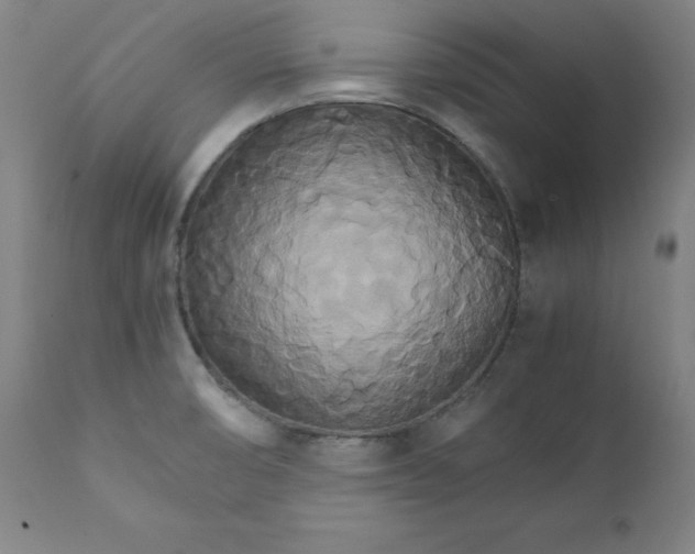 X0000111231474200907161304