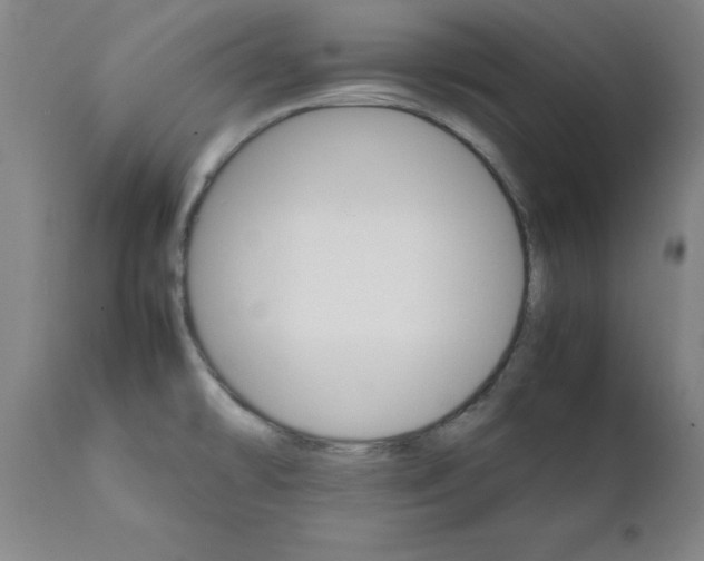 X0000111231478200907161304