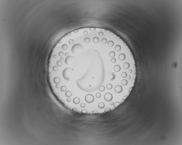 X0000111231479200907161304