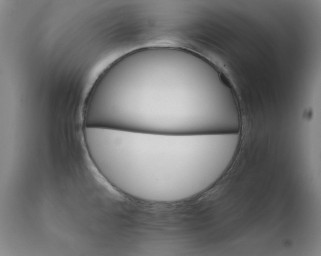 X0000111231480200907161304